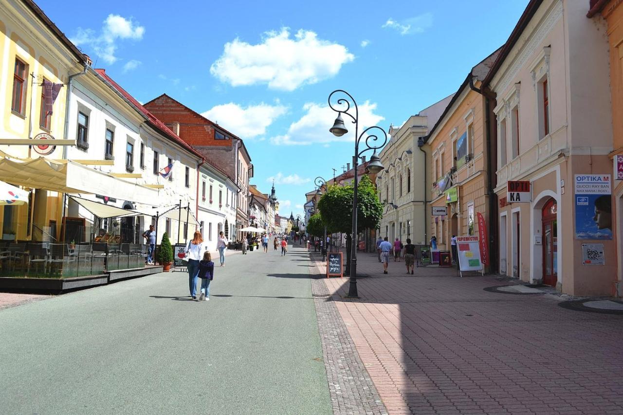 Old Town Apt. A/C And Parking Banská Bystrica Eksteriør bilde